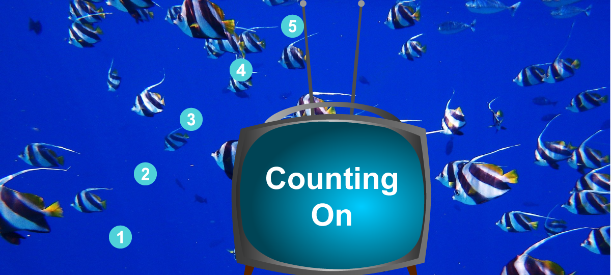 Video Tutorial: Counting On