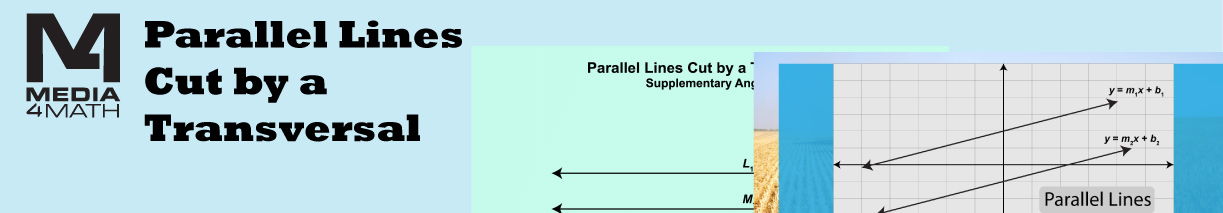 Parallel Lines Cut by a Transversal Collection