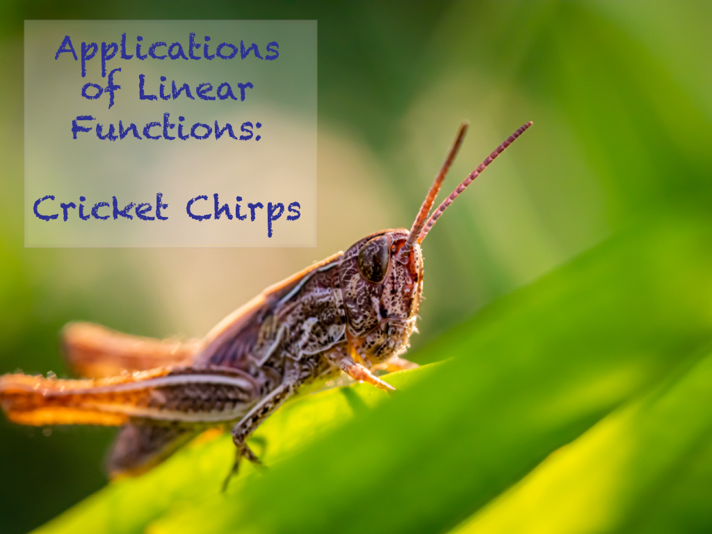Math Clip Art--Applications of Linear Functions: Cricket Chirps, Image 1