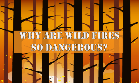 Algebra Application: Why Are Wildfires So Dangerous?
