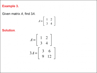 Math Example--Systems of Equations--Matrices--Example 3