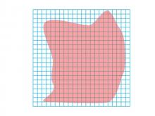Math Clip Art--Geometry Concepts--Area Estimation, Image 10