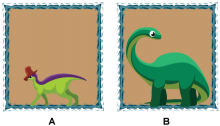 Math Clip Art--Dinosaur Height Comparisons-6