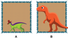 Math Clip Art--Dinosaur Height Comparisons-7