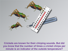 Math Clip Art--Applications of Linear Functions: Cricket Chirps, Image 2