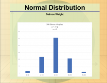Math Clip Art--Statistics--Normal Distribution, Image 4